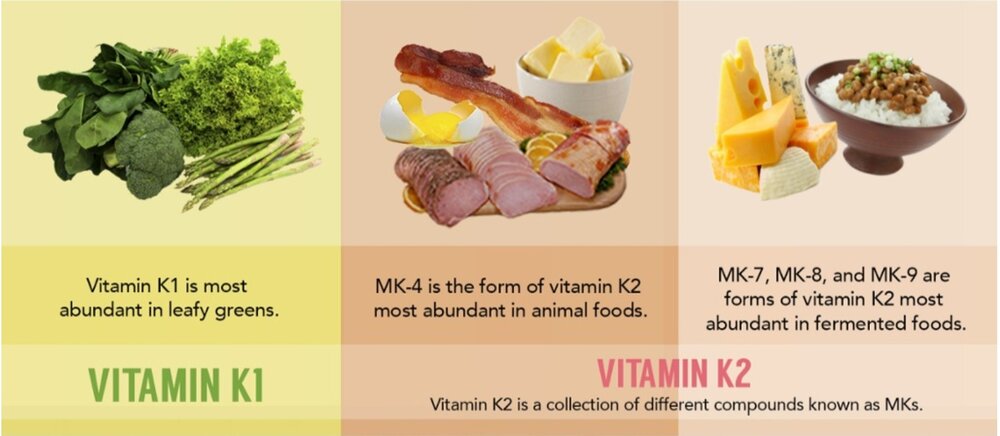 Vitamin K2 Everything You Need To Know MD Keto Home Garden Malaysia